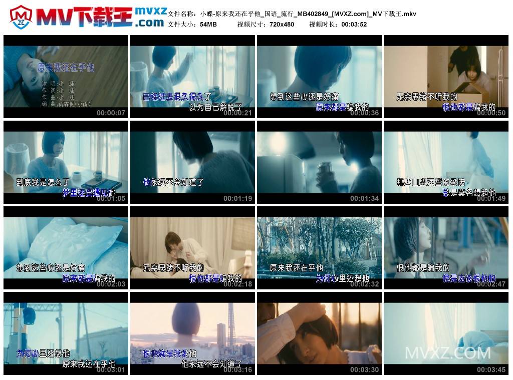 小蝶-原来我还在乎他_国语_流行_MB402849